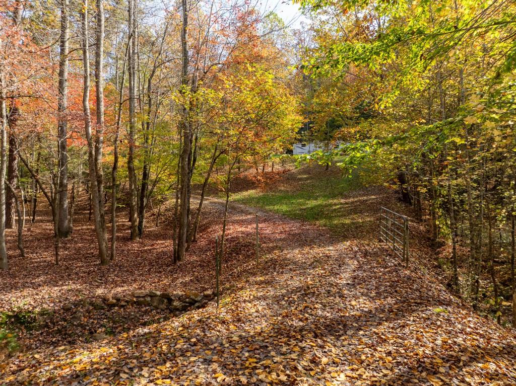 51.96 Laughing Bird Lane, Ellijay, Georgia image 9