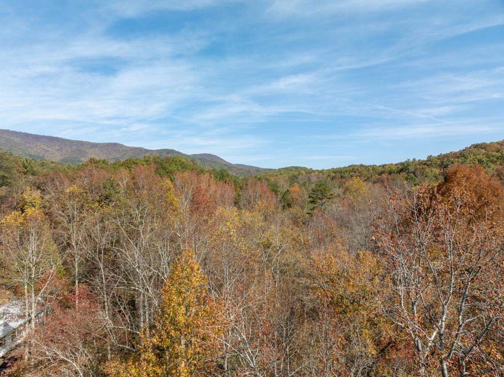 51.96 Laughing Bird Lane, Ellijay, Georgia image 18