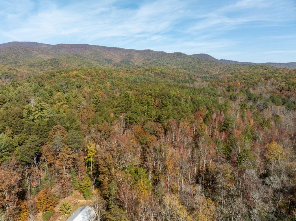 51.96 Laughing Bird Lane, Ellijay, Georgia image 17