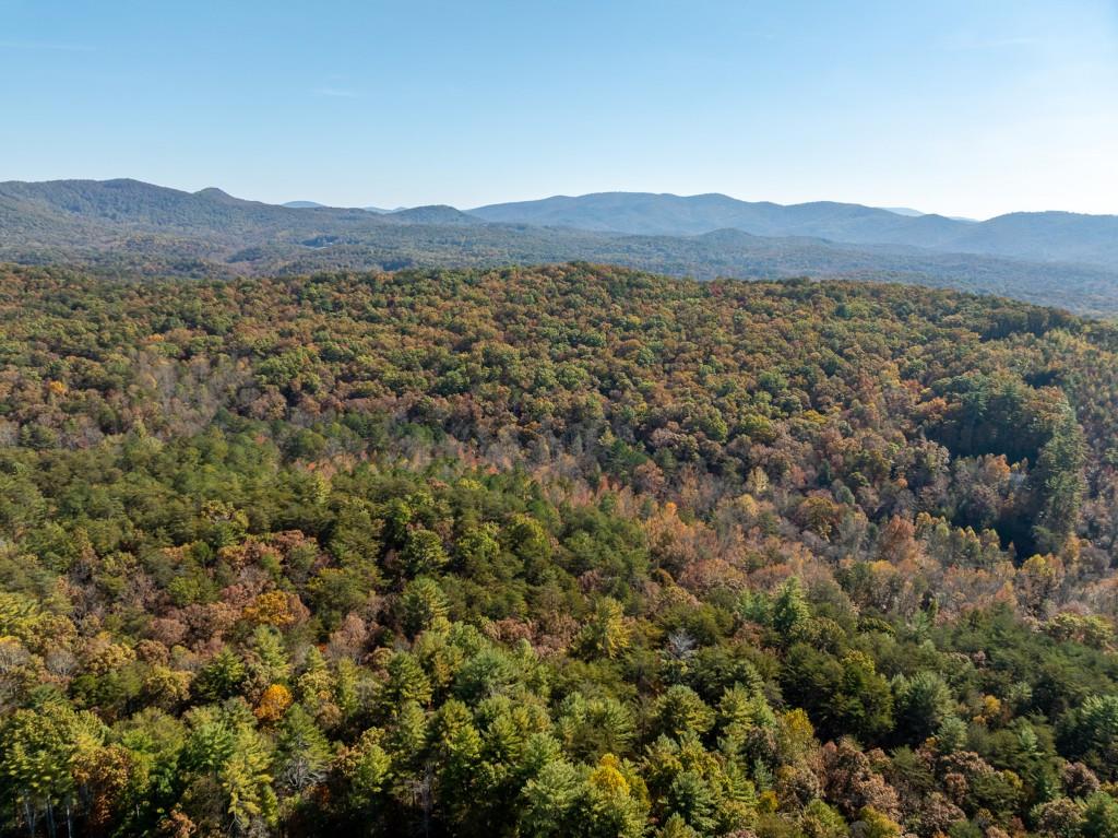 51.96 Laughing Bird Lane, Ellijay, Georgia image 4