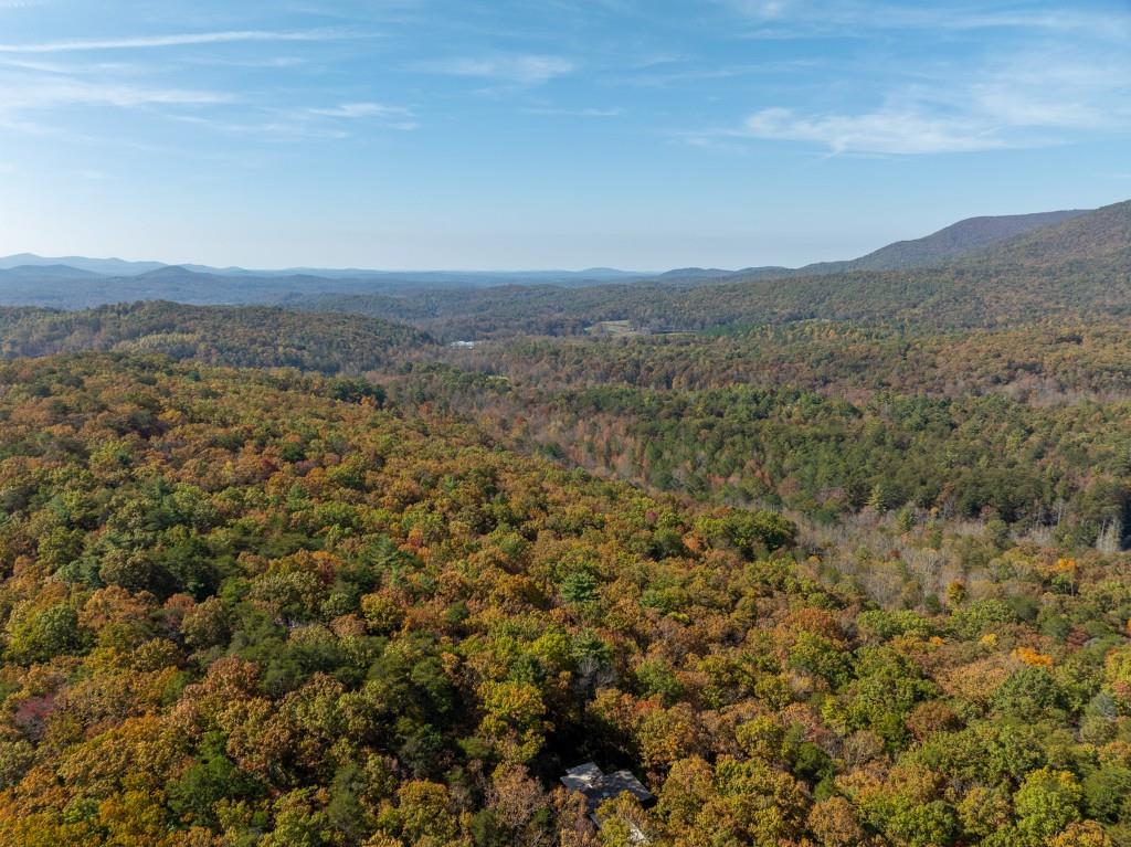 51.96 Laughing Bird Lane, Ellijay, Georgia image 19