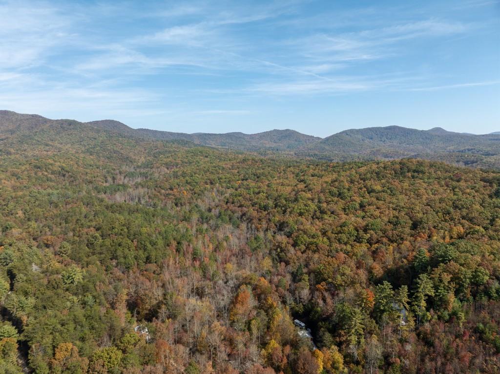 51.96 Laughing Bird Lane, Ellijay, Georgia image 21