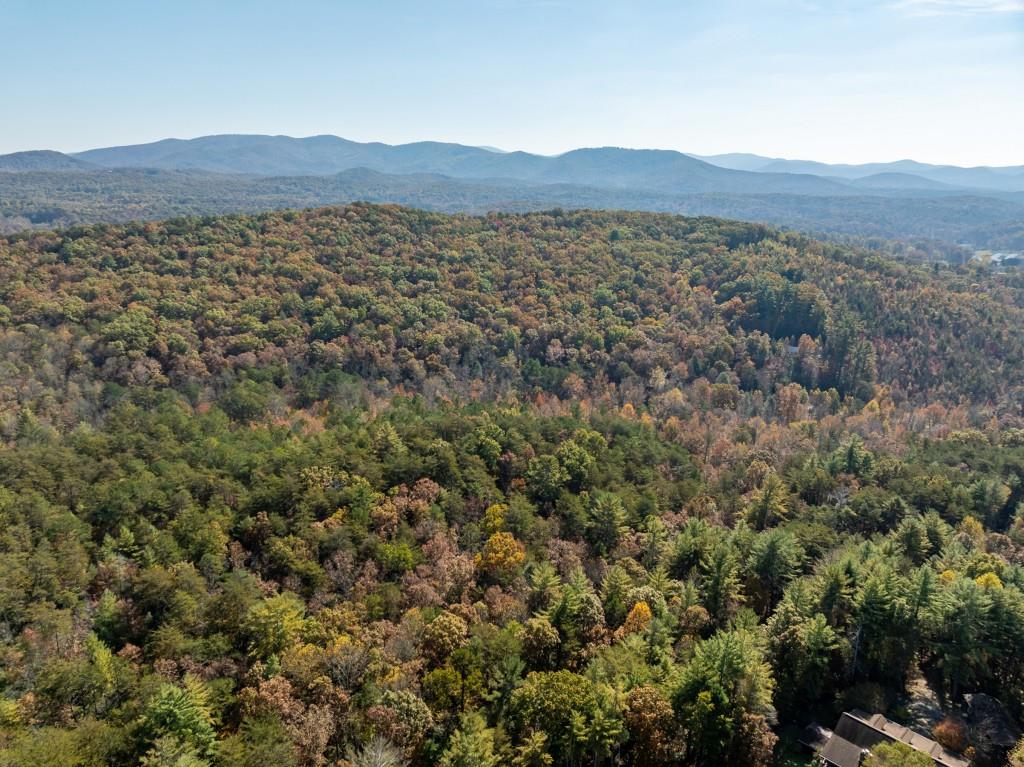 51.96 Laughing Bird Lane, Ellijay, Georgia image 26