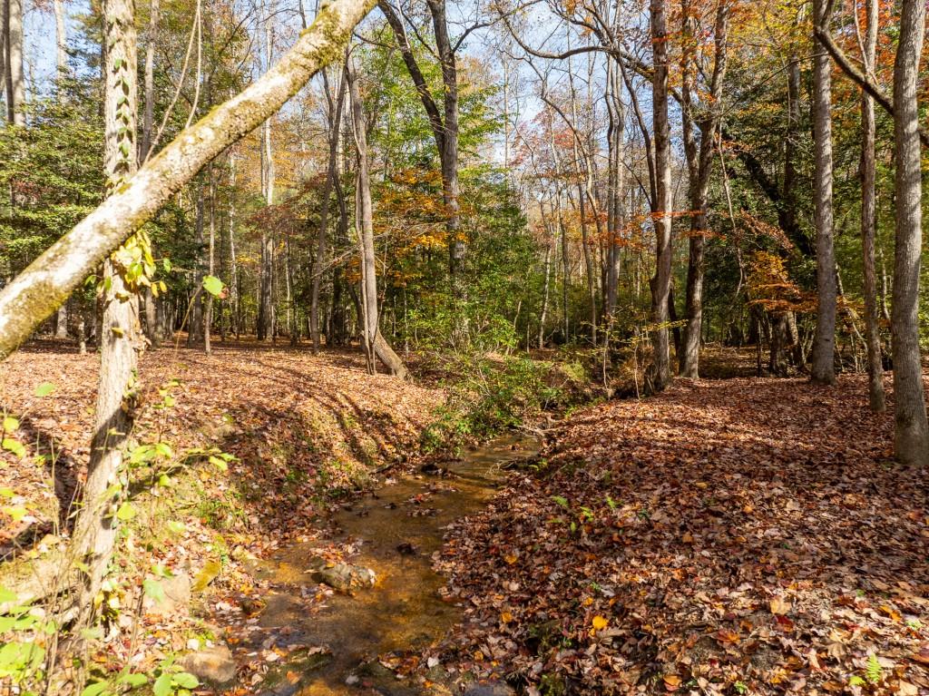 51.96 Laughing Bird Lane, Ellijay, Georgia image 10