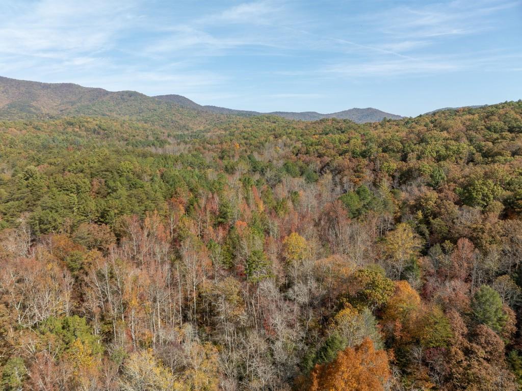 51.96 Laughing Bird Lane, Ellijay, Georgia image 16