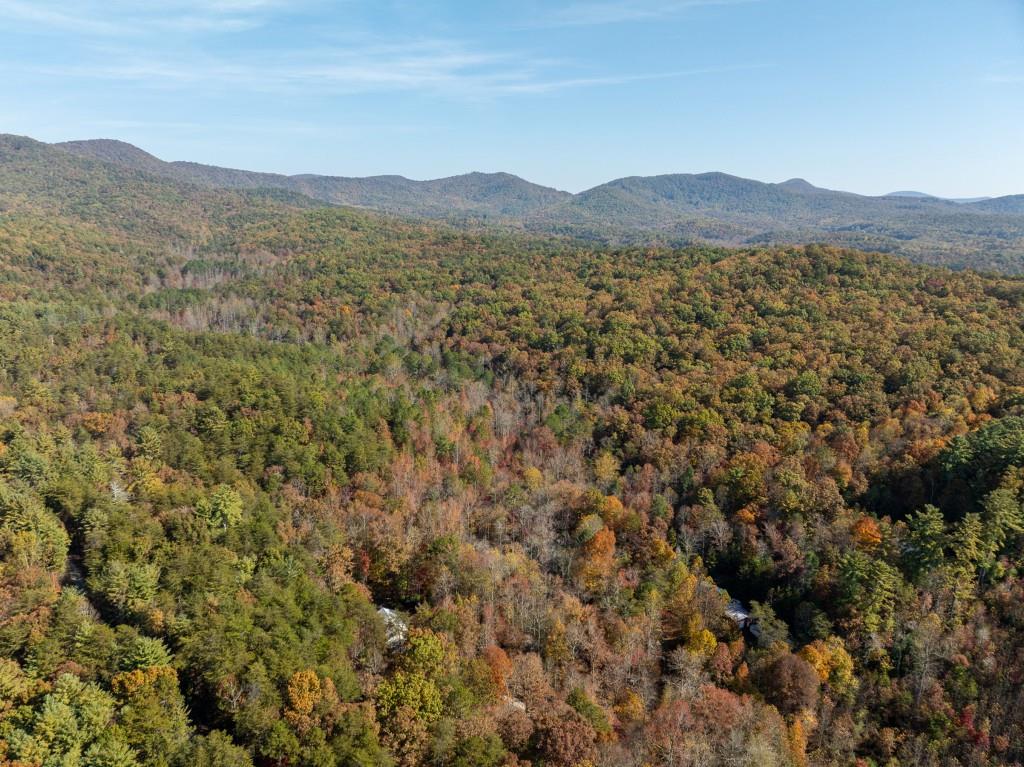 51.96 Laughing Bird Lane, Ellijay, Georgia image 27