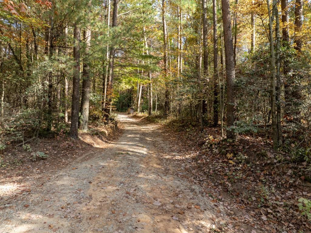 51.96 Laughing Bird Lane, Ellijay, Georgia image 7