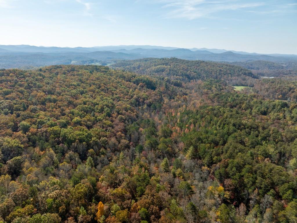 51.96 Laughing Bird Lane, Ellijay, Georgia image 31