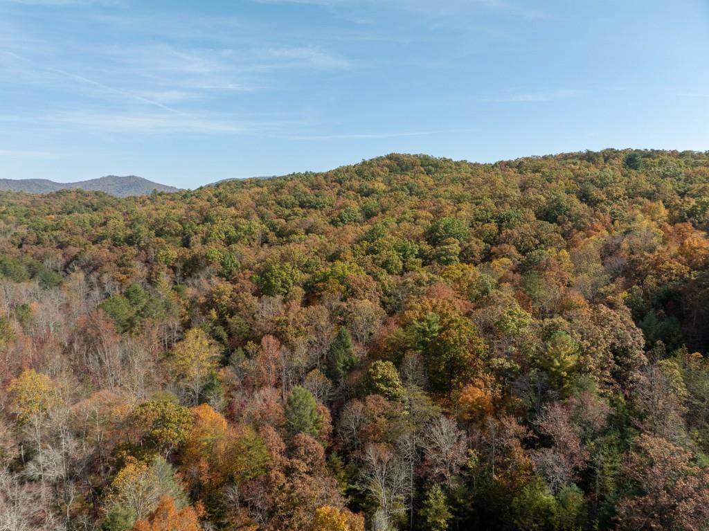 51.96 Laughing Bird Lane, Ellijay, Georgia image 15