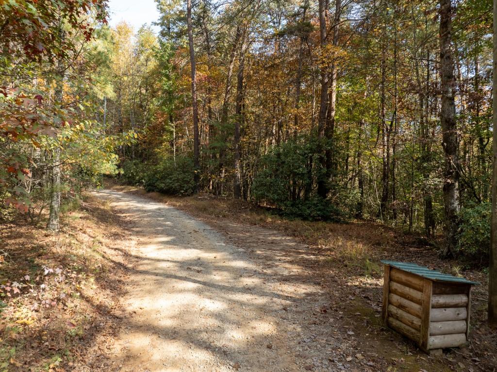 51.96 Laughing Bird Lane, Ellijay, Georgia image 8