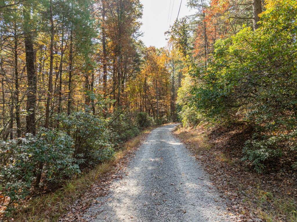 51.96 Laughing Bird Lane, Ellijay, Georgia image 1