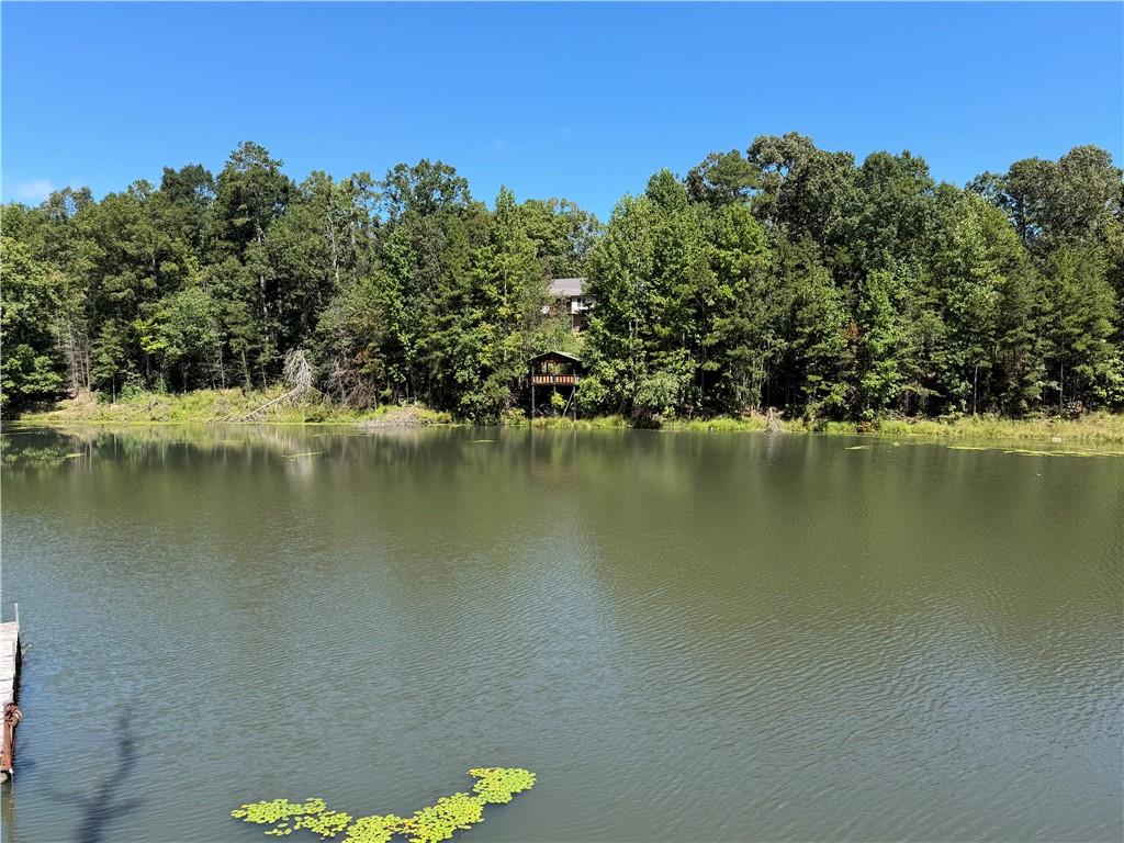 263 Cole Lake Drive