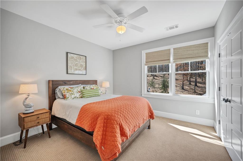 5046 Mckinzey Lane, Flowery Branch, Georgia image 41