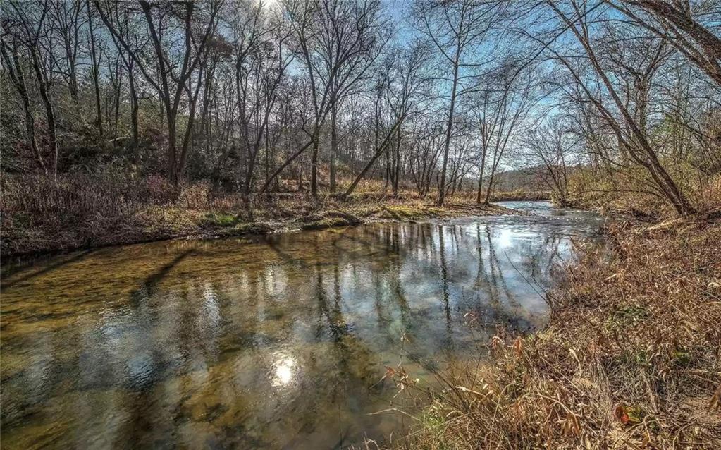 141 Mountain Rivers Rd