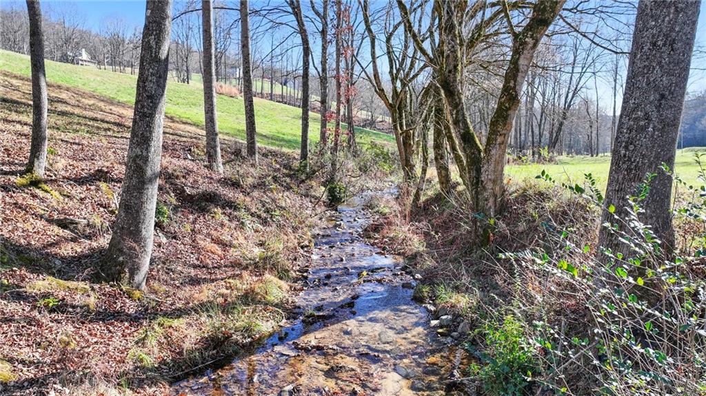 LOT 22 Lower Ridge Trail, Morganton, Georgia image 9