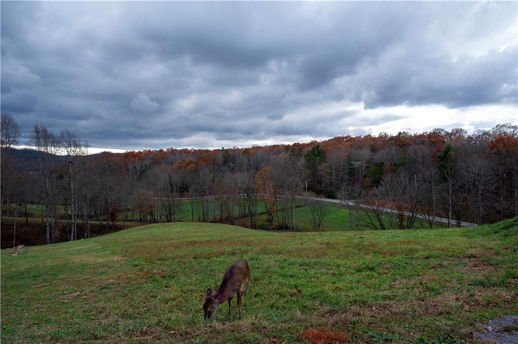 LOT 22 Lower Ridge Trail, Morganton, Georgia image 1