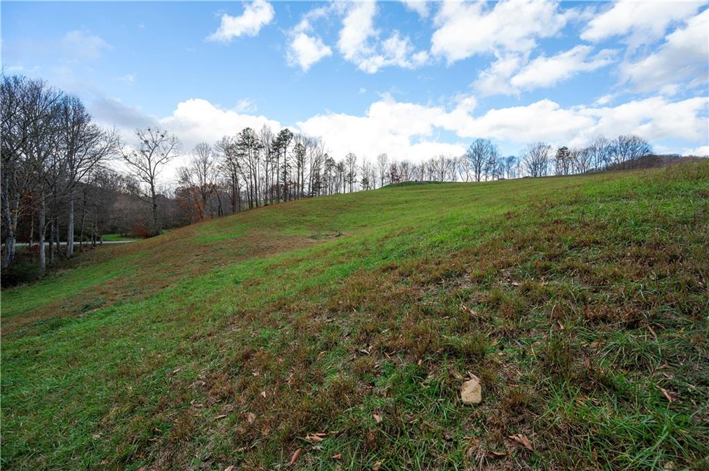 LOT 22 Lower Ridge Trail, Morganton, Georgia image 18