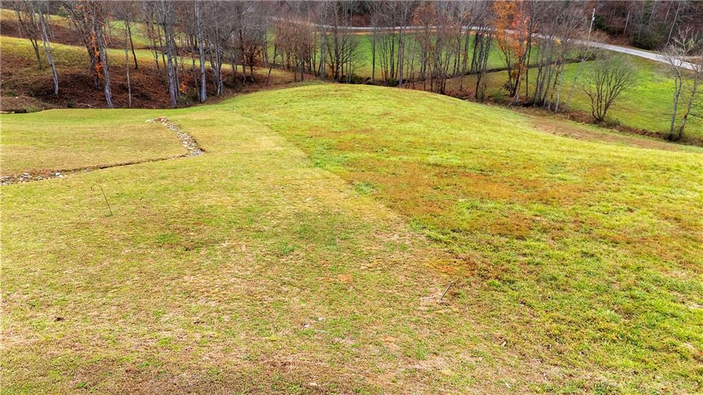 LOT 22 Lower Ridge Trail, Morganton, Georgia image 32