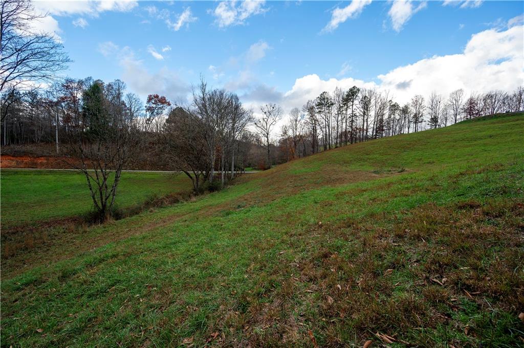 LOT 22 Lower Ridge Trail, Morganton, Georgia image 6