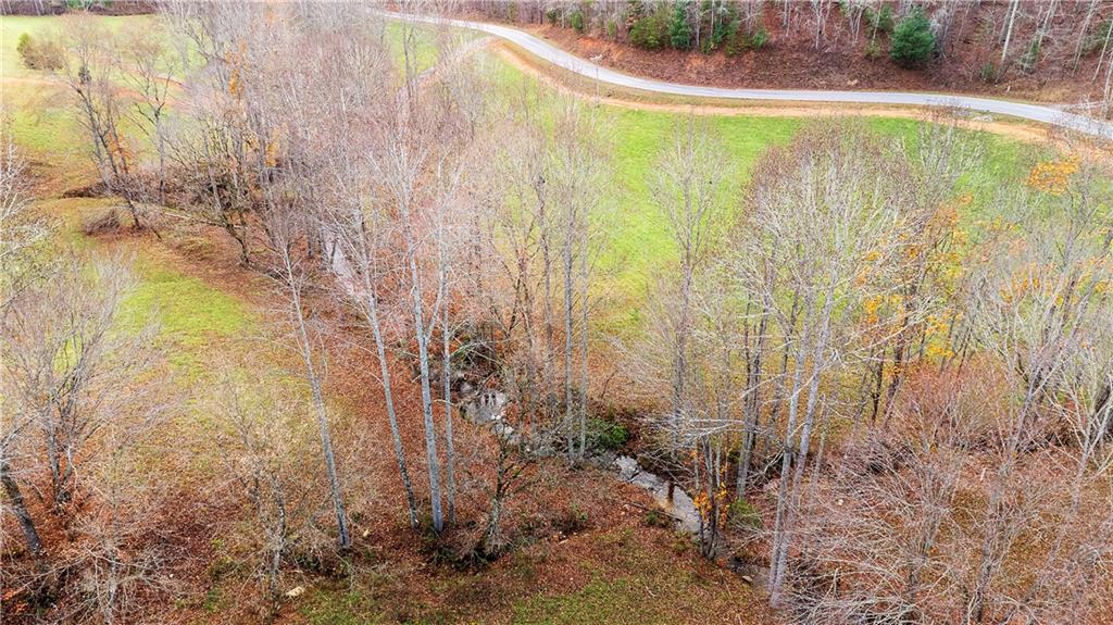 LOT 22 Lower Ridge Trail, Morganton, Georgia image 31