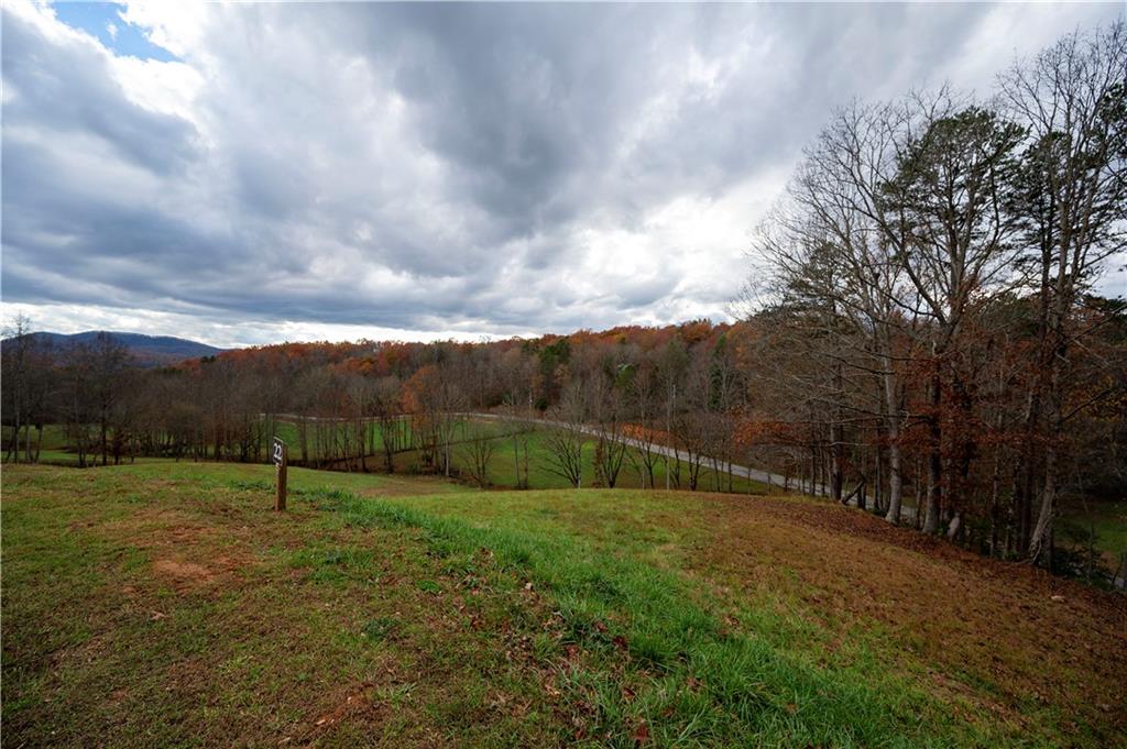 LOT 22 Lower Ridge Trail, Morganton, Georgia image 25