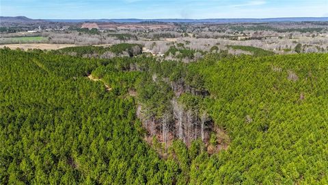 Vacant Land For Sale - Highway 100<br/> Chattooga County, Summerville, GA 30747