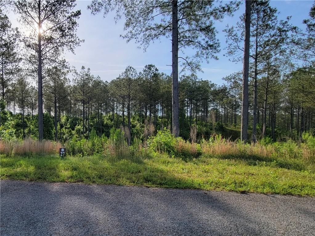 Lot 27 Hillside Lane, Ellijay, Georgia image 1