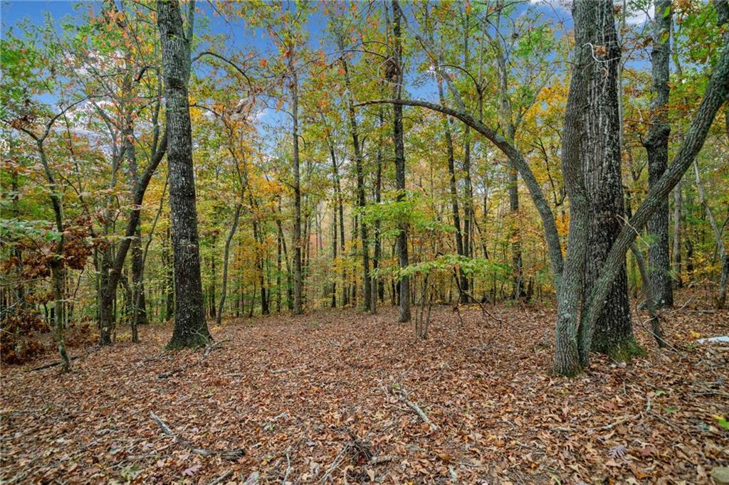 363 Old Post Trail, Talking Rock, Georgia image 4