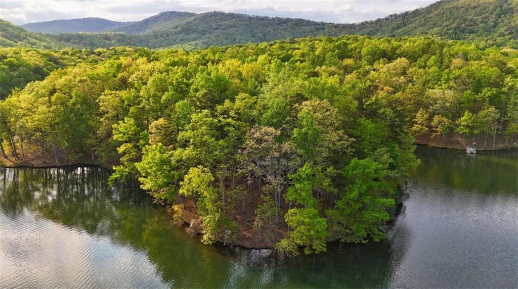 148 Kingfisher Point, Big Canoe, Georgia image 7