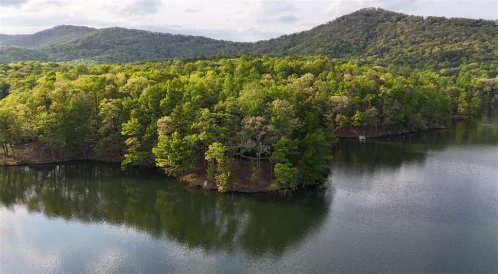 148 Kingfisher Point, Big Canoe, Georgia image 5