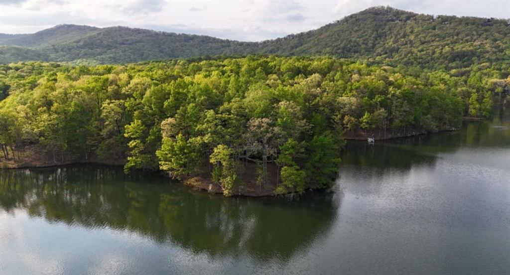 148 Kingfisher Point, Big Canoe, Georgia image 9