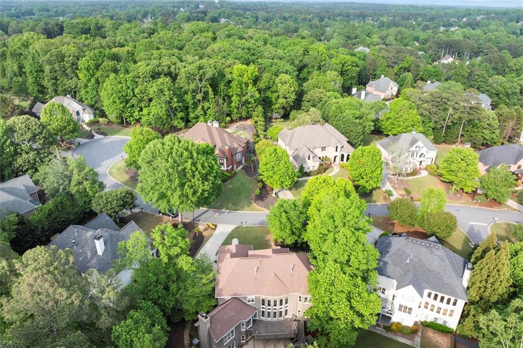 770 Pine Leaf Court, Alpharetta, Georgia image 8