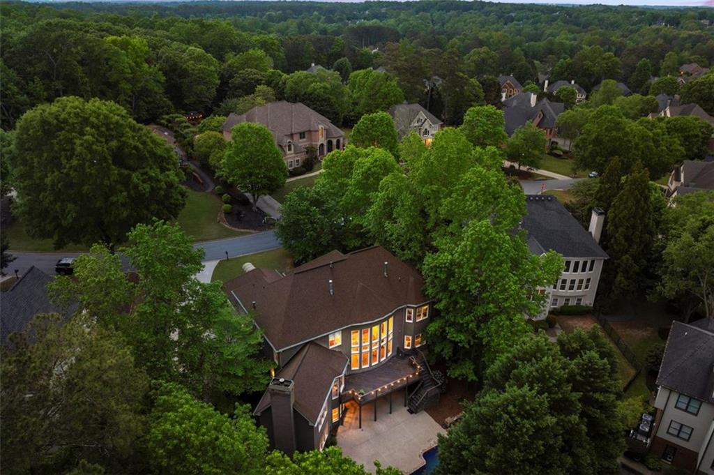 770 Pine Leaf Court, Alpharetta, Georgia image 12