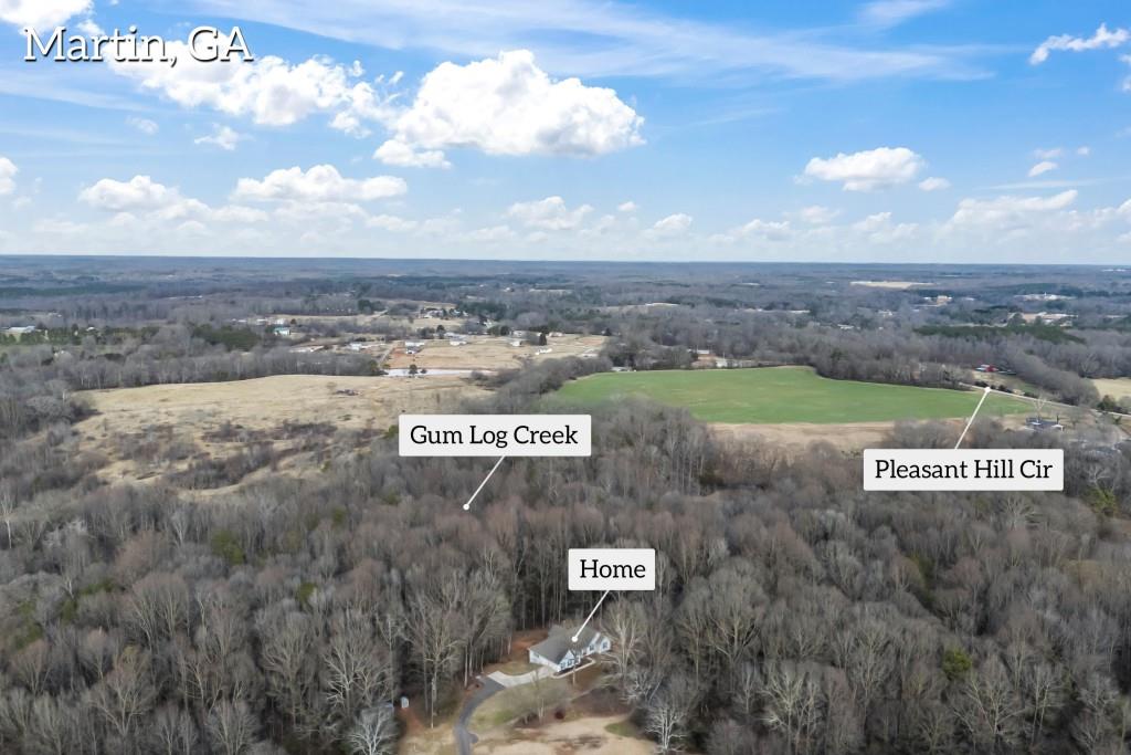 16834 Hwy 17, Martin, Georgia image 9