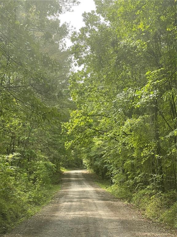 Logtown Road, Yatesville, Georgia image 3