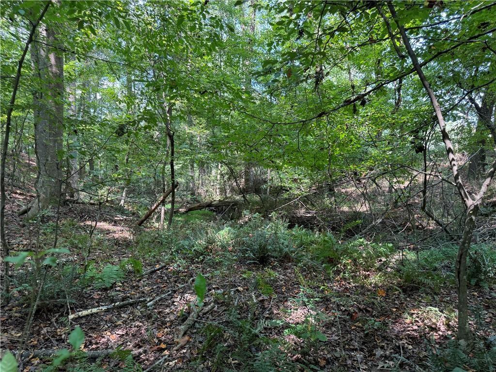 348 A Pat Rich Drive