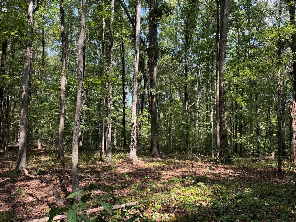 348 A Pat Rich Drive