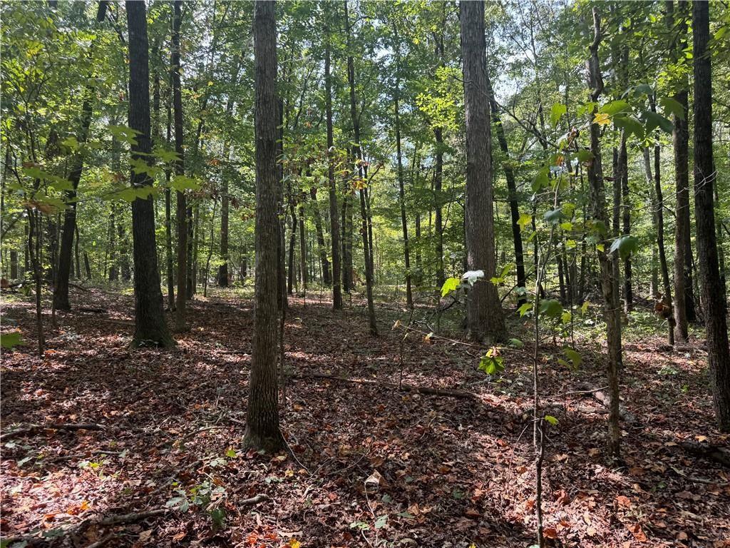 348 A Pat Rich Drive