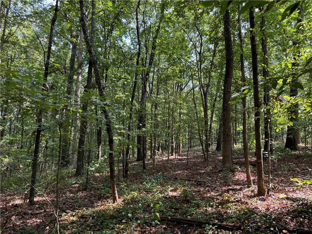348 A Pat Rich Drive