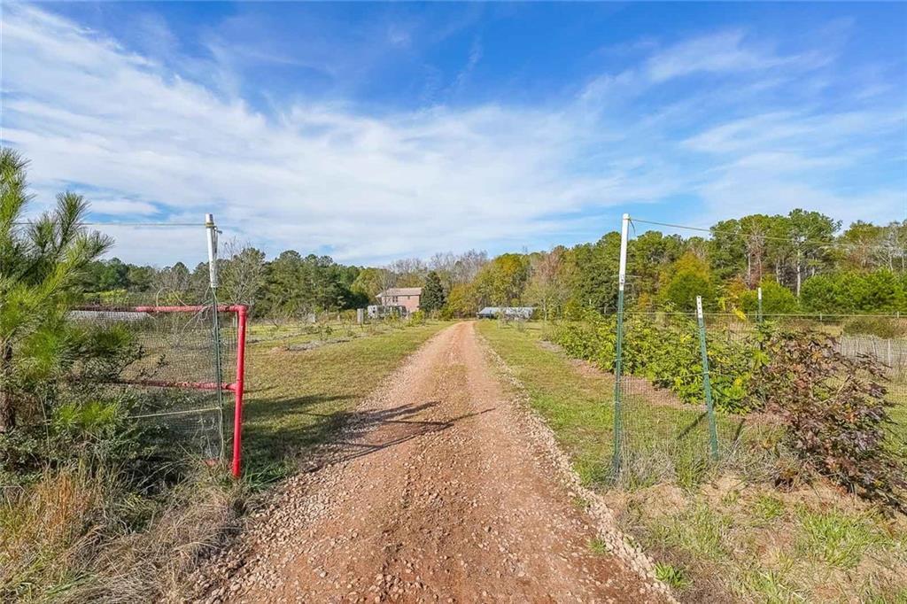 1465 Thurston Snow Road, Good Hope, Georgia image 33