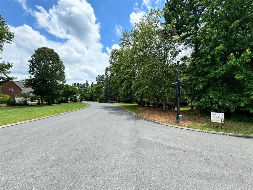 Grady Smith Street, Grantville, Georgia image 1