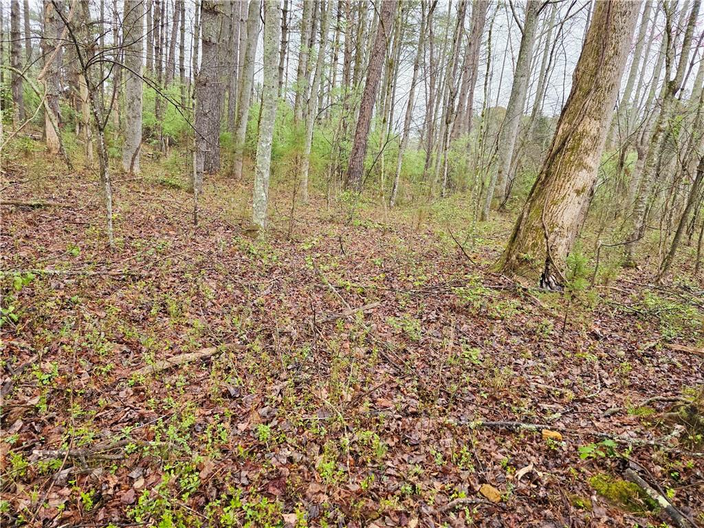 Sunset Trail, Blairsville, Georgia image 4