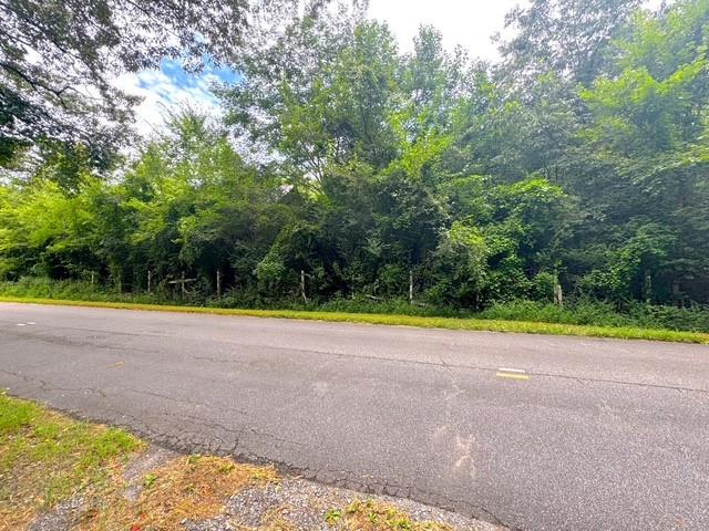 49 Iron Mountain Road NW