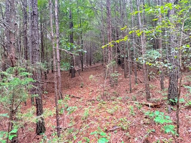 49 Iron Mountain Road NW