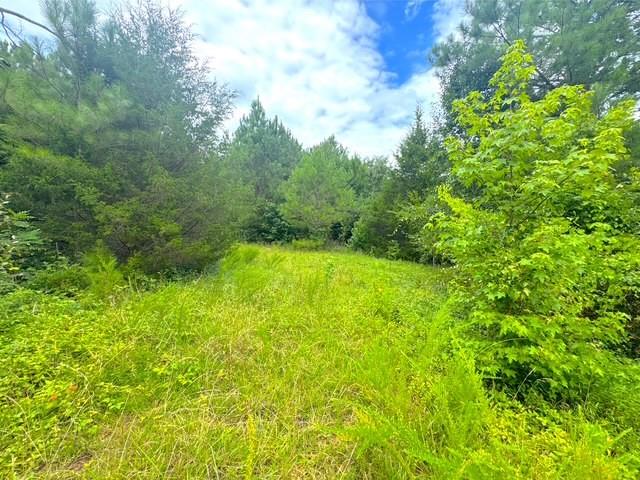 49 Iron Mountain Road NW