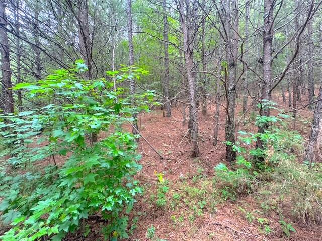 49 Iron Mountain Road NW