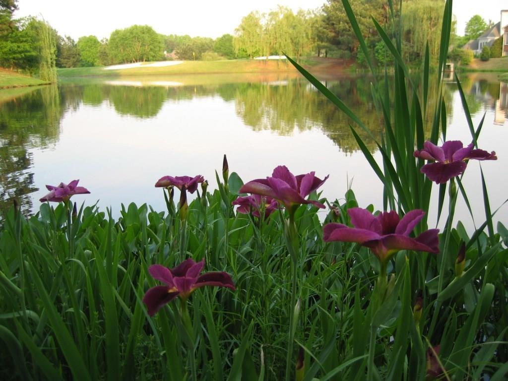 BREATHTAKING vistas in PRESTIGIOUS St Marlo Country Club. This stunning home featuring 5 beds, 4.5 baths, master-on-main and a heated saltwater pool on the terrace level. On the main floor, Grand 2-story Family room with fireplace overlooking the Beautiful lake & the 11th hole golf course. Gourmet kitchen with pantry and breakfast room, enjoy. Huge master suite with a spa-like bath, custom cabinetry, soaking tub, and walk-in closet. Open Dining room and gathering room. On the Upper Level, Three spacious bedrooms with two bathrooms and walk-in closets. On the Terrace Level, Entertainer’s dream with bar, family room with stone fireplace, game room, and one large en-suite bedrooms. Walkout access to the stunning backyard overlooking the lake and golf course, featuring a heated pool, hot tub, covered patio, and play area. 3-car garage. Great location! Owner request excellent credit score and 3x monthly rent income for qualify.