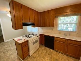 456 Big John Trail SE