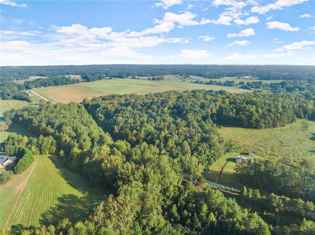 Caney Branch Road, Lavonia, Georgia image 5