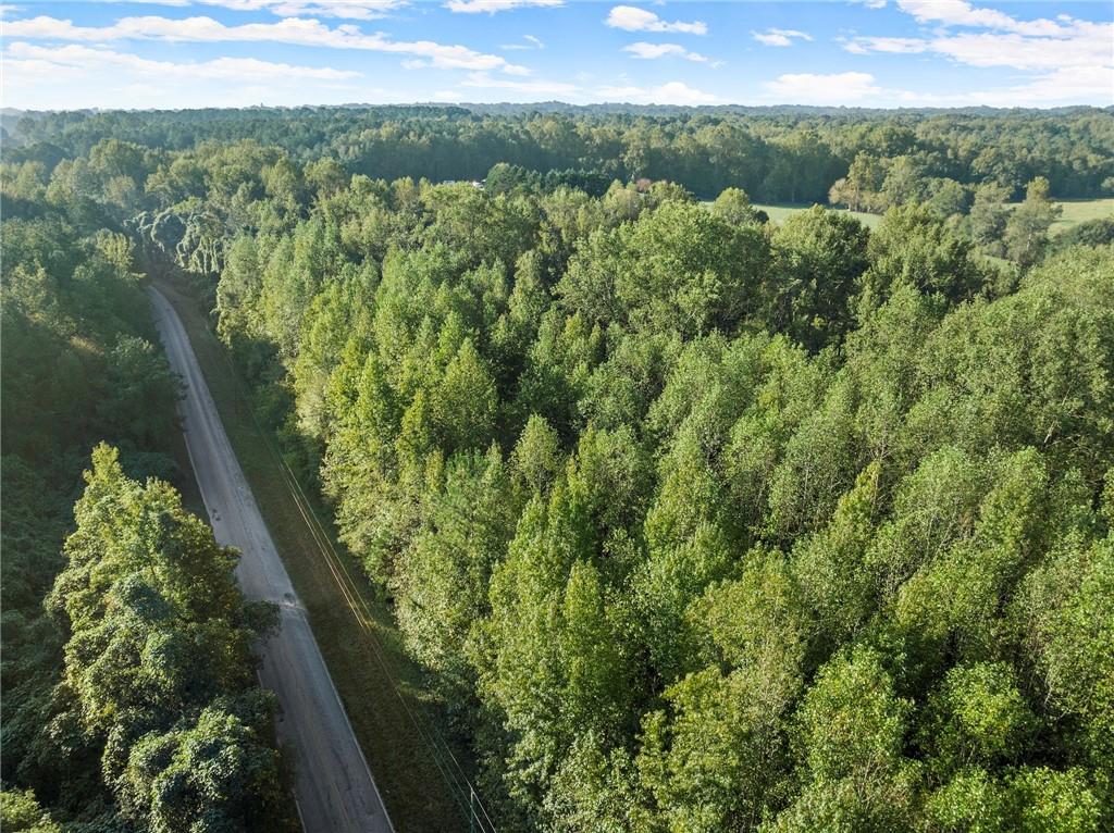 Caney Branch Road, Lavonia, Georgia image 8